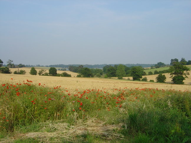DSC05573